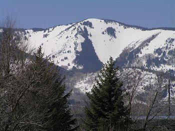 Blue Mountain Horsehead 2*